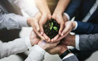 Exploring Corporate Accountability in the UAE: Insights from a Recent Court Ruling